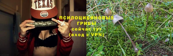 герыч Мегион