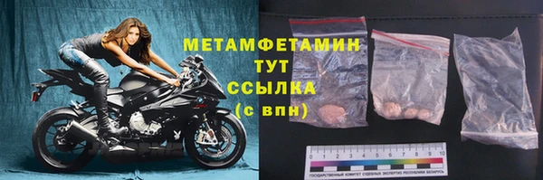 прущие грибы Михайловск